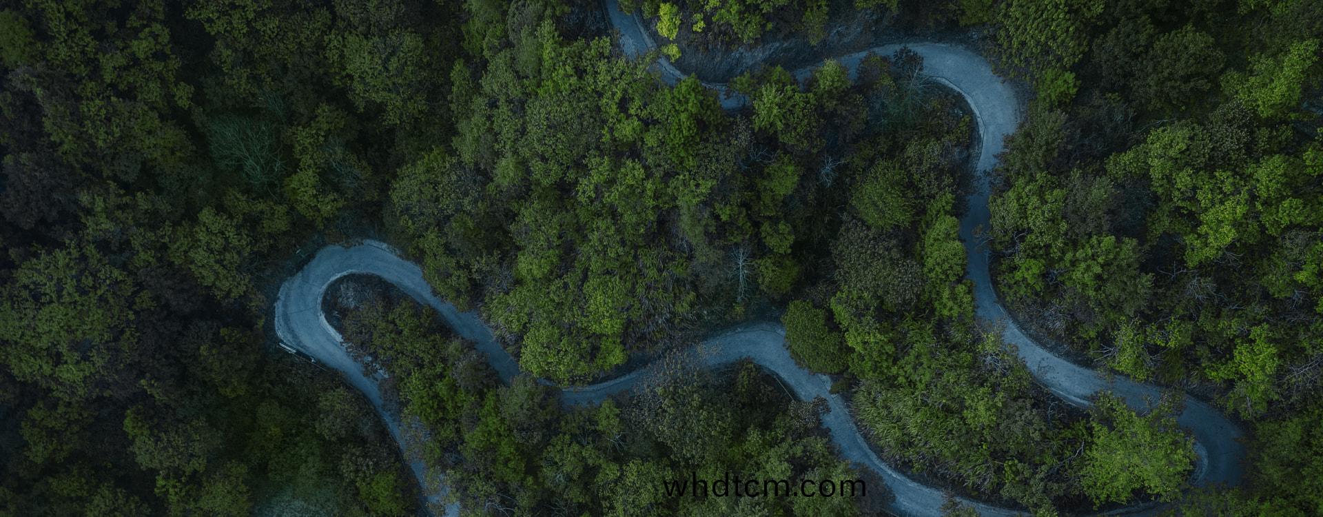 投資(zi)者關(guan)係