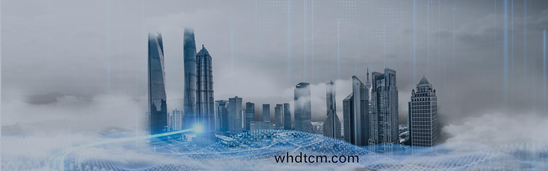 髮(fa)展歷程(cheng)