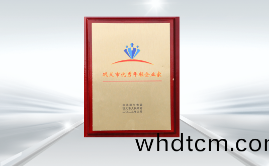 鞏(gong)義(yi)市優秀(xiu)年輕(qing)企(qi)業(ye)傢(jia)