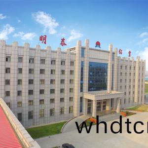 河南(nan)泰(tai)鴻新(xin)材料(liao)有(you)限公(gong)司